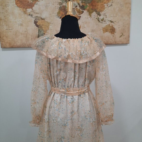 Vtg 60s handmade sheer peach gown - Picture 9 of 16